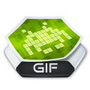 Picture GIF Icon